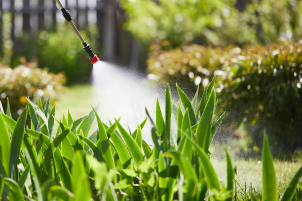 Tamper-Resistant Bait Stations for Rodents in Waverly